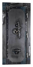 Load image into Gallery viewer, Rhino - Ironworks Vault Door Series - Texas Safe &amp; Vault